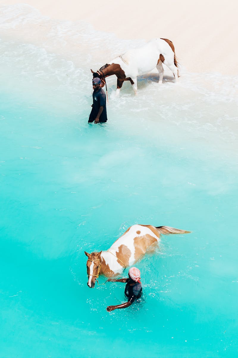 Two people riding horses along the stunning beaches of Zanzibar, Tanzania.