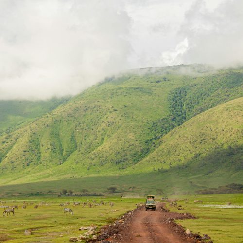 Explore the vast landscapes and wildlife of Ngorongoro Crater with a safari jeep adventure.