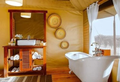 what-a-wonderful-joy